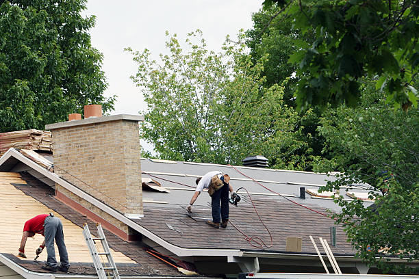Best Roof Gutter Cleaning  in Williston Highlands, FL