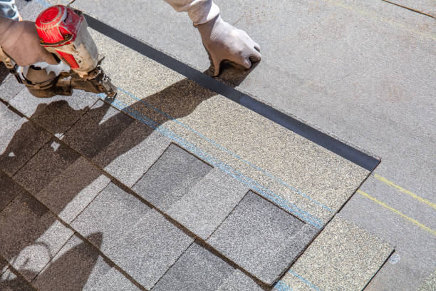 Best Local Roofing Companies  in Williston Highlands, FL