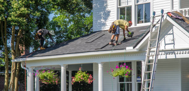 Best Commercial Roof Installation  in Williston Highlands, FL