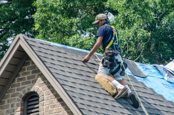 Quick and Trustworthy Emergency Roof Repair Services in Williston Highlands, FL
